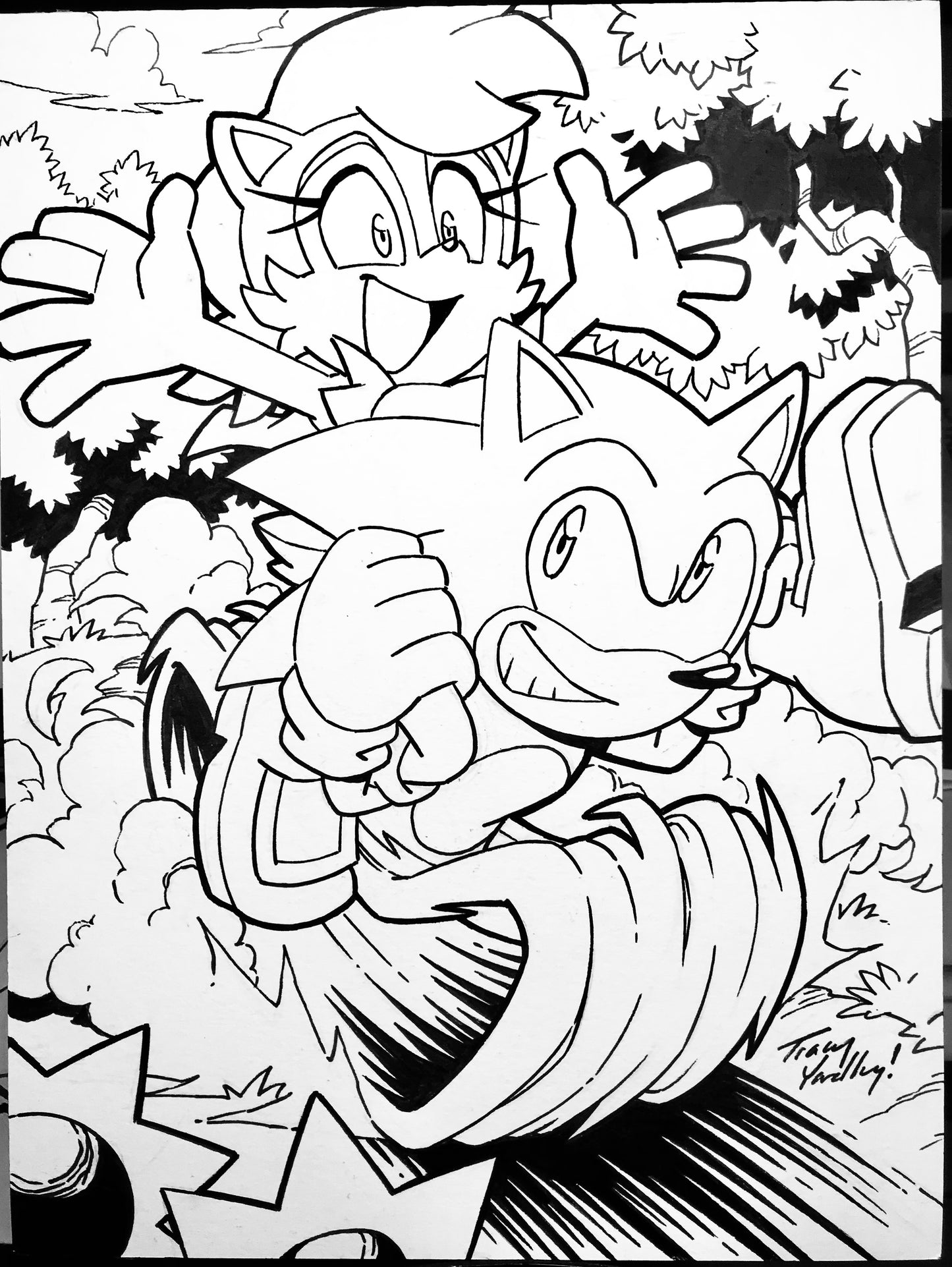 Sonic and Sally