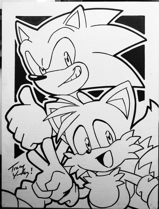 Sonic The Hedgehog #1 IDW Exclusive Foil 35th Anniversary autographed with Sonic and Tails art card